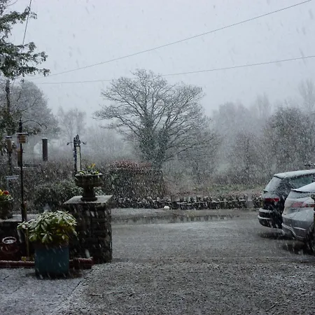 Lakeside Orman Evi *